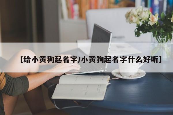 推荐一款“皮皮跑胡子赢钱规律”其实确实有挂