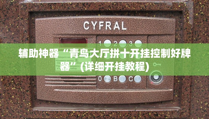 实测辅助”中至上饶打炸开挂神器”(详细开挂教程)