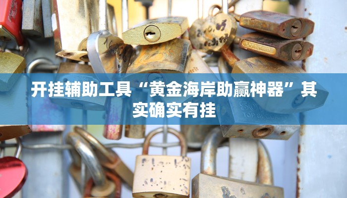 开挂辅助工具“黄金海岸助赢神器”其实确实有挂
