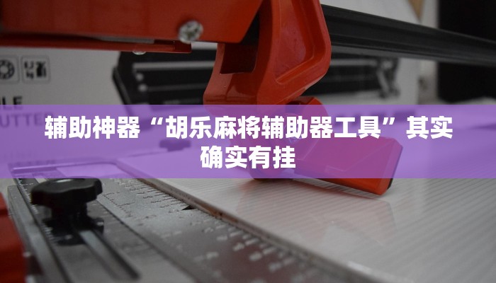 辅助神器“胡乐麻将辅助器工具”其实确实有挂