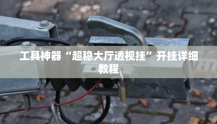 工具神器“超稳大厅透视挂”开挂详细教程