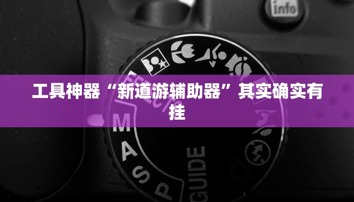 工具神器“新道游辅助器”其实确实有挂