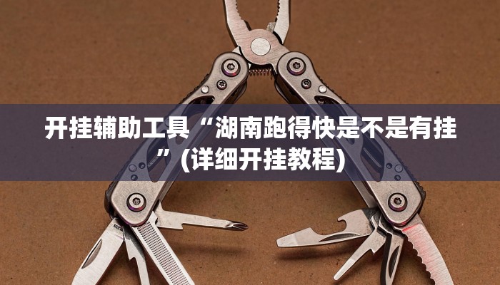 开挂辅助工具“湖南跑得快是不是有挂”(详细开挂教程)