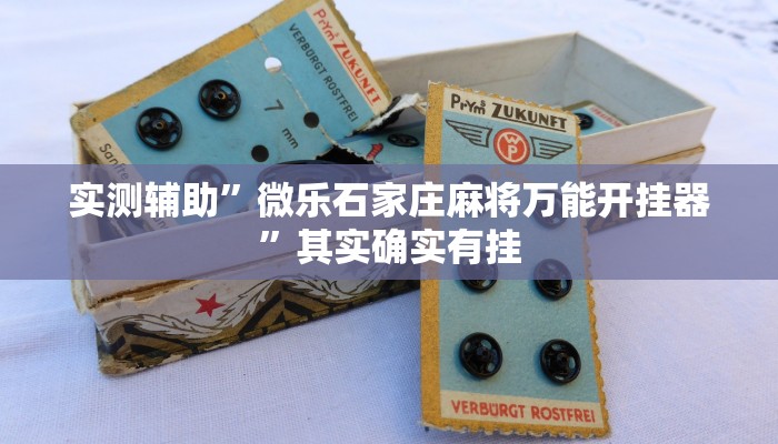 实测辅助”微乐石家庄麻将万能开挂器”其实确实有挂