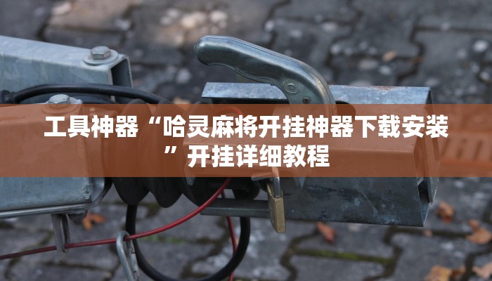 工具神器“哈灵麻将开挂神器下载安装”开挂详细教程