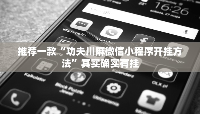 推荐一款“功夫川麻微信小程序开挂方法”其实确实有挂