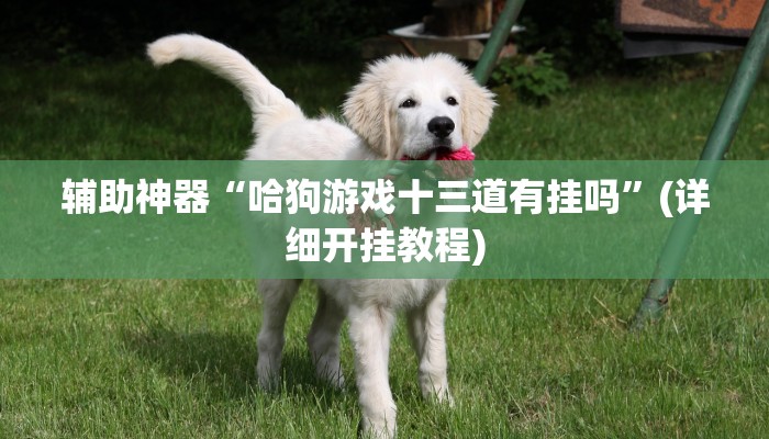 辅助神器“哈狗游戏十三道有挂吗”(详细开挂教程)