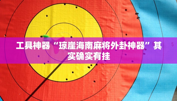 工具神器“琼崖海南麻将外卦神器”其实确实有挂