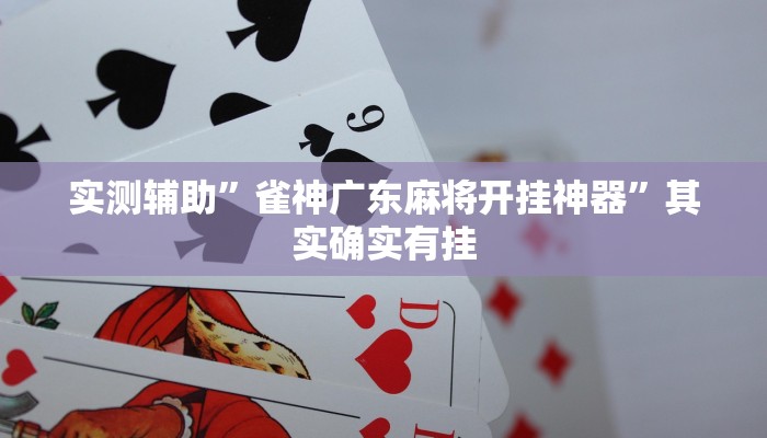 实测辅助”雀神广东麻将开挂神器”其实确实有挂