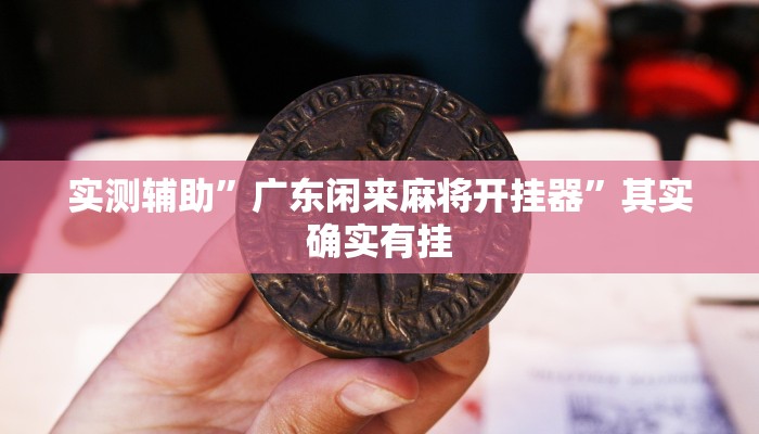 实测辅助”广东闲来麻将开挂器”其实确实有挂