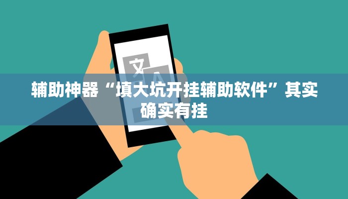 辅助神器“填大坑开挂辅助软件”其实确实有挂