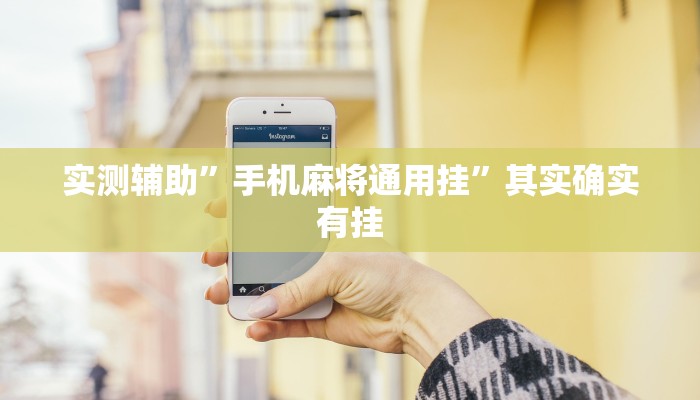 实测辅助”手机麻将通用挂”其实确实有挂