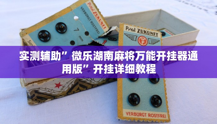 实测辅助”微乐湖南麻将万能开挂器通用版”开挂详细教程