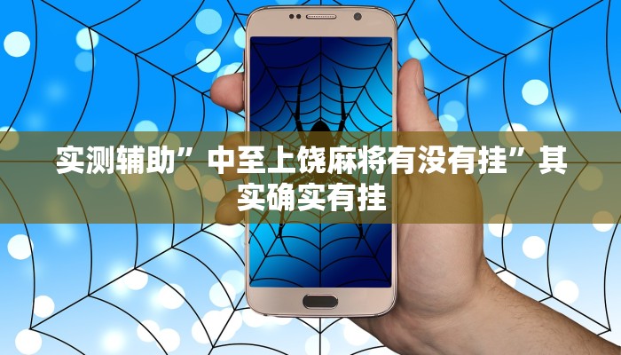 实测辅助”中至上饶麻将有没有挂”其实确实有挂