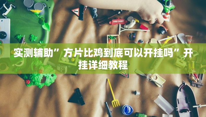 实测辅助”方片比鸡到底可以开挂吗”开挂详细教程