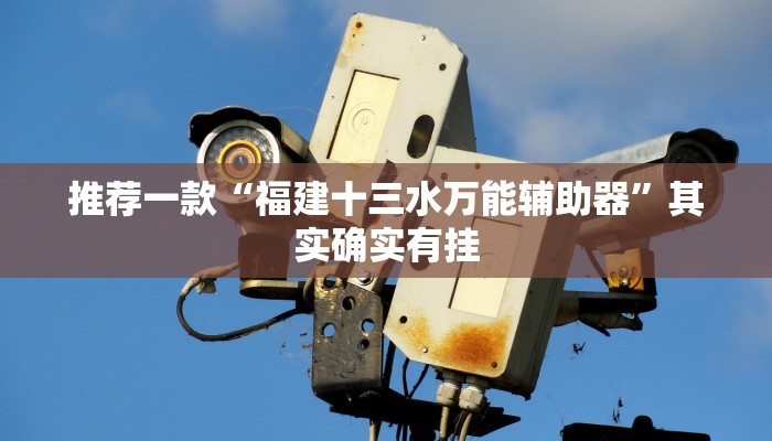推荐一款“福建十三水万能辅助器”其实确实有挂