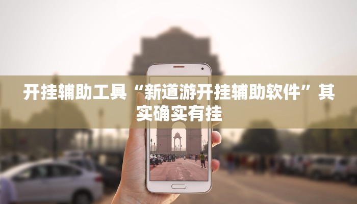 开挂辅助工具“新道游开挂辅助软件”其实确实有挂