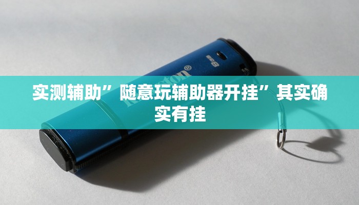 实测辅助”随意玩辅助器开挂”其实确实有挂