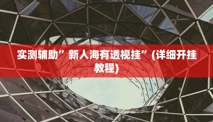 实测辅助”新人海有透视挂”(详细开挂教程)