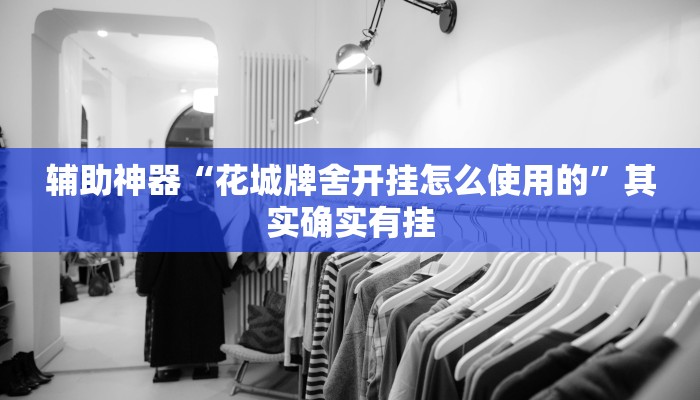 辅助神器“花城牌舍开挂怎么使用的”其实确实有挂