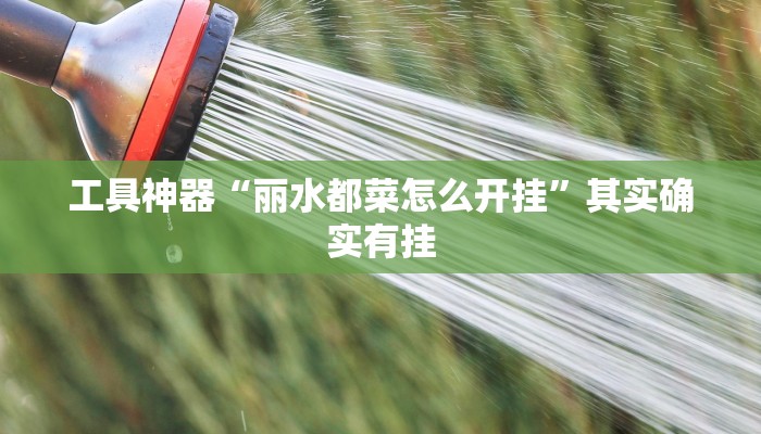 工具神器“丽水都菜怎么开挂”其实确实有挂