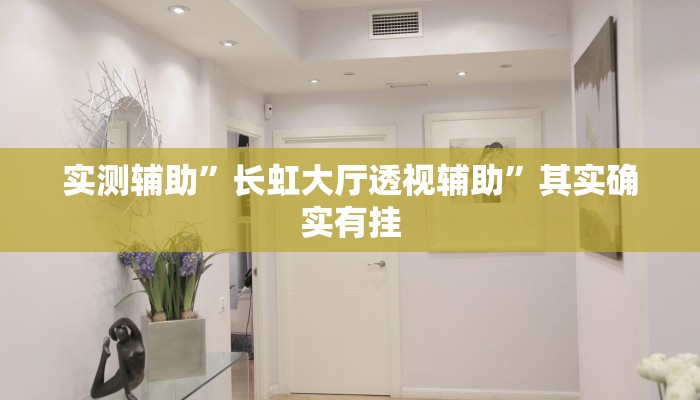 辅助神器“WePoker德州开挂神器”(详细开挂教程)