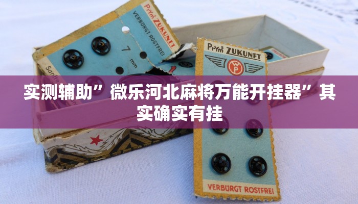 实测辅助”微乐河北麻将万能开挂器”其实确实有挂