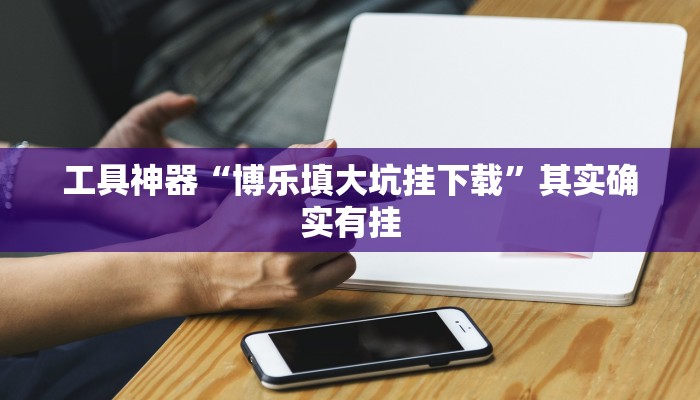 工具神器“博乐填大坑挂下载”其实确实有挂
