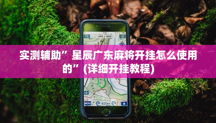 实测辅助”星辰广东麻将开挂怎么使用的”(详细开挂教程)