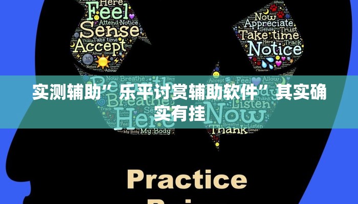 实测辅助”乐平讨赏辅助软件”其实确实有挂