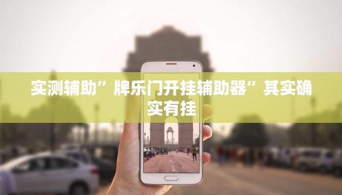 实测辅助”牌乐门开挂辅助器”其实确实有挂