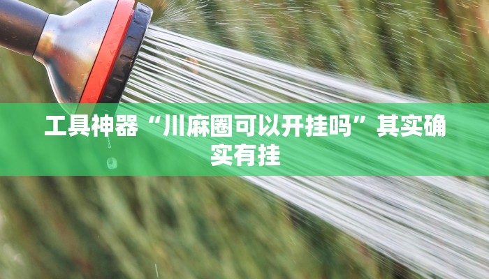 工具神器“川麻圈可以开挂吗”其实确实有挂