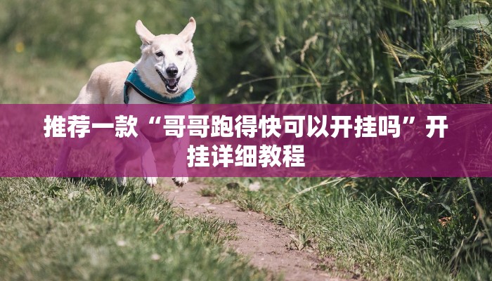 推荐一款“哥哥跑得快可以开挂吗”开挂详细教程