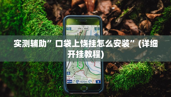 实测辅助”口袋上饶挂怎么安装”(详细开挂教程)