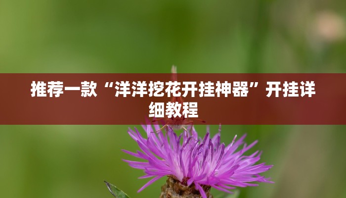 推荐一款“洋洋挖花开挂神器”开挂详细教程