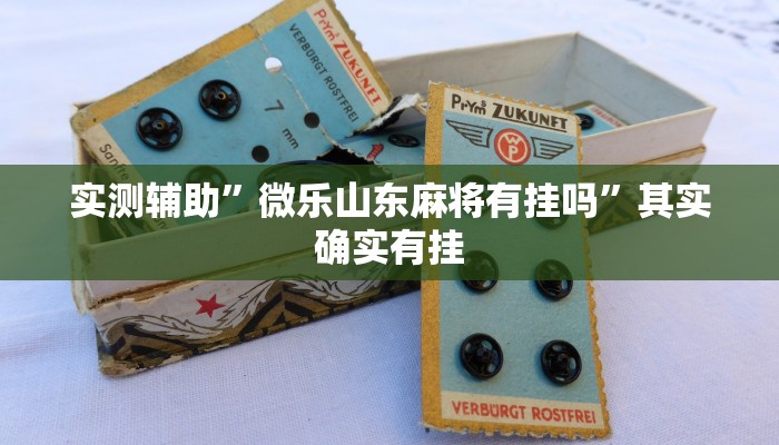 实测辅助”微乐山东麻将有挂吗”其实确实有挂