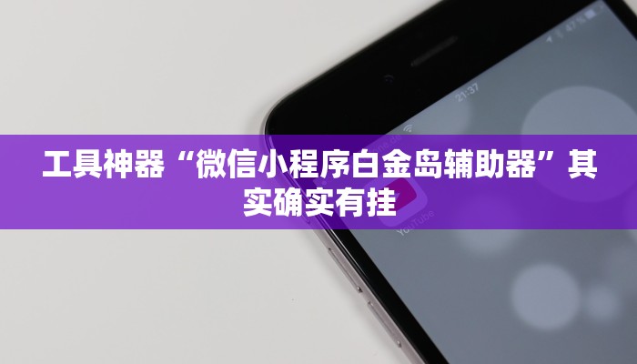 工具神器“微信小程序白金岛辅助器”其实确实有挂