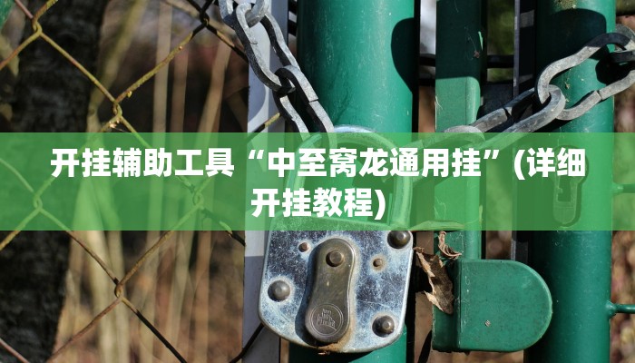 开挂辅助工具“中至窝龙通用挂”(详细开挂教程)