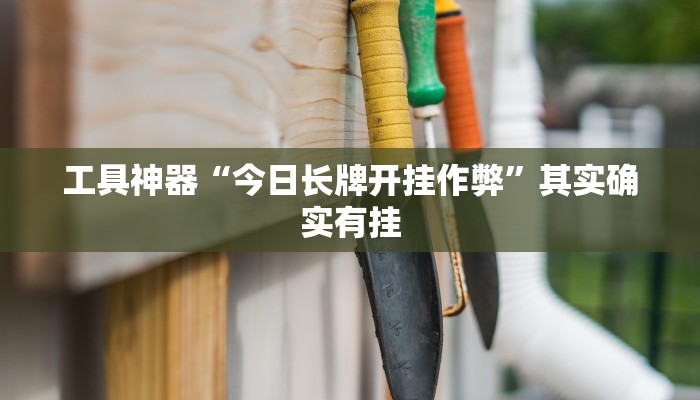 工具神器“今日长牌开挂作弊”其实确实有挂