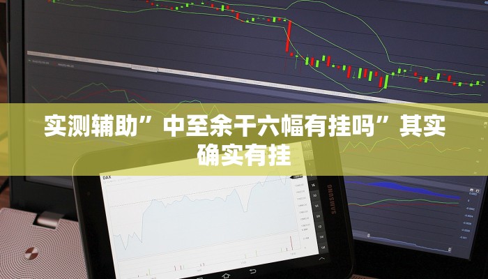 实测辅助”中至余干六幅有挂吗”其实确实有挂