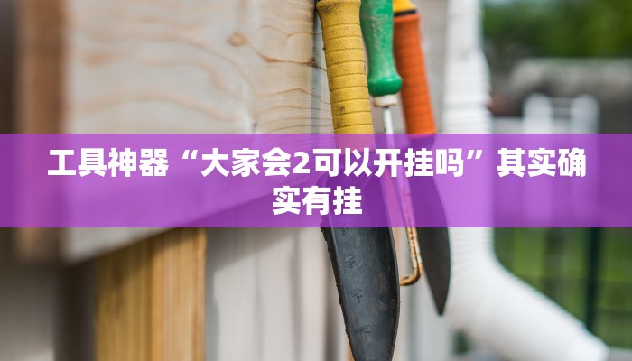 工具神器“大家会2可以开挂吗”其实确实有挂