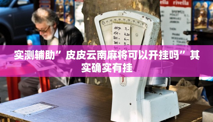 实测辅助”皮皮云南麻将可以开挂吗”其实确实有挂