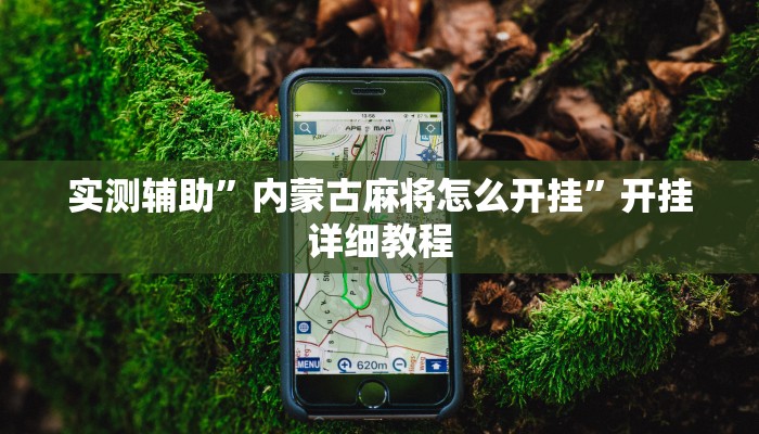 实测辅助”内蒙古麻将怎么开挂”开挂详细教程