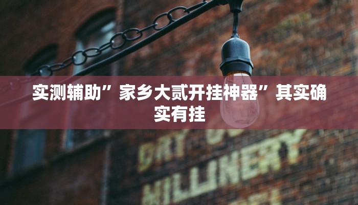实测辅助”家乡大贰开挂神器”其实确实有挂