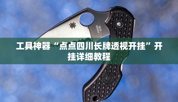 工具神器“点点四川长牌透视开挂”开挂详细教程