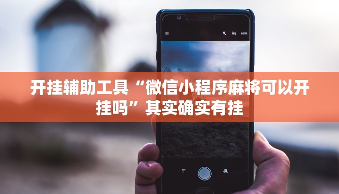 开挂辅助工具“微信小程序麻将可以开挂吗”其实确实有挂