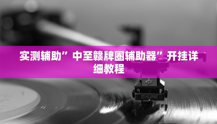 实测辅助”中至赣牌圈辅助器”开挂详细教程